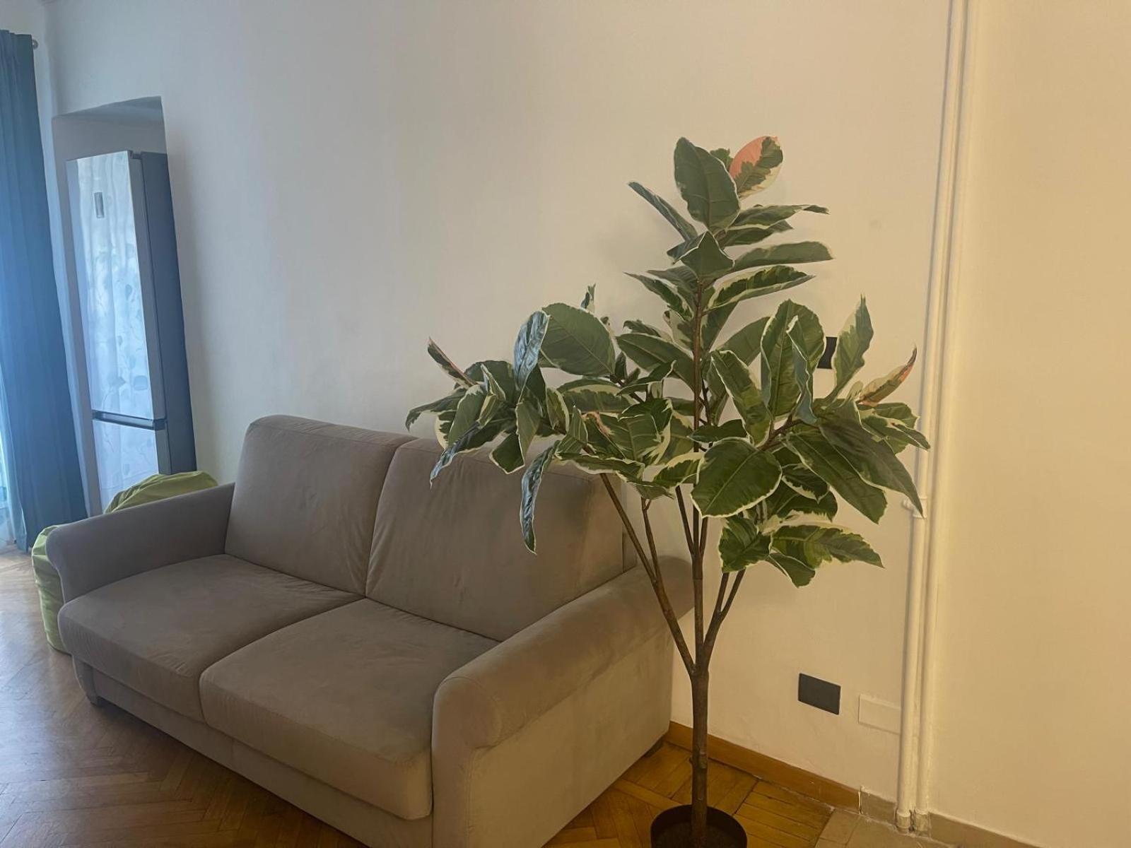 Torino Natura In Centro Esterno foto
