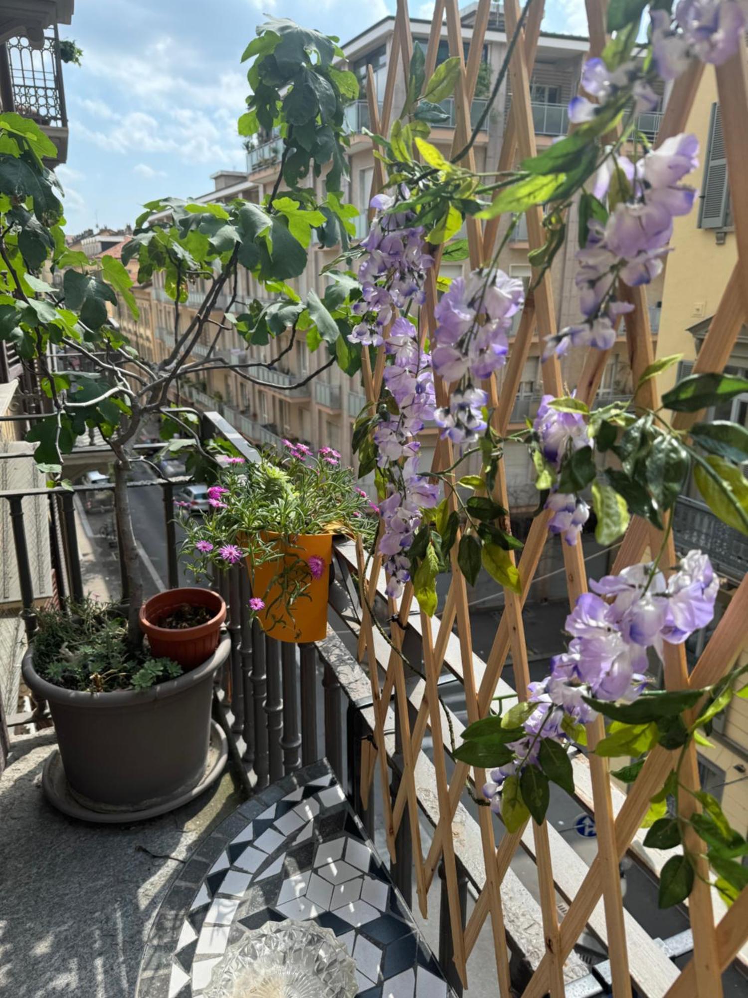 Torino Natura In Centro Esterno foto