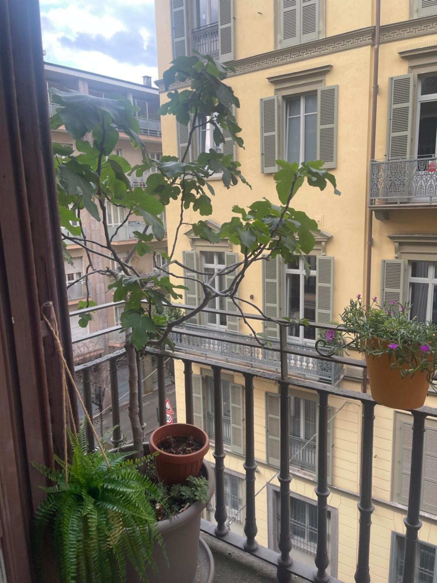Torino Natura In Centro Esterno foto